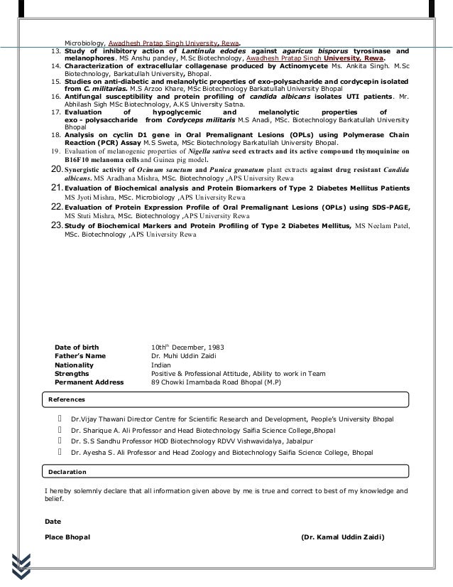 curriculum vitae ivri curriculum vitae ivri
